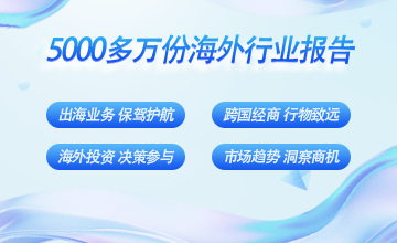 2021年越南商業報告